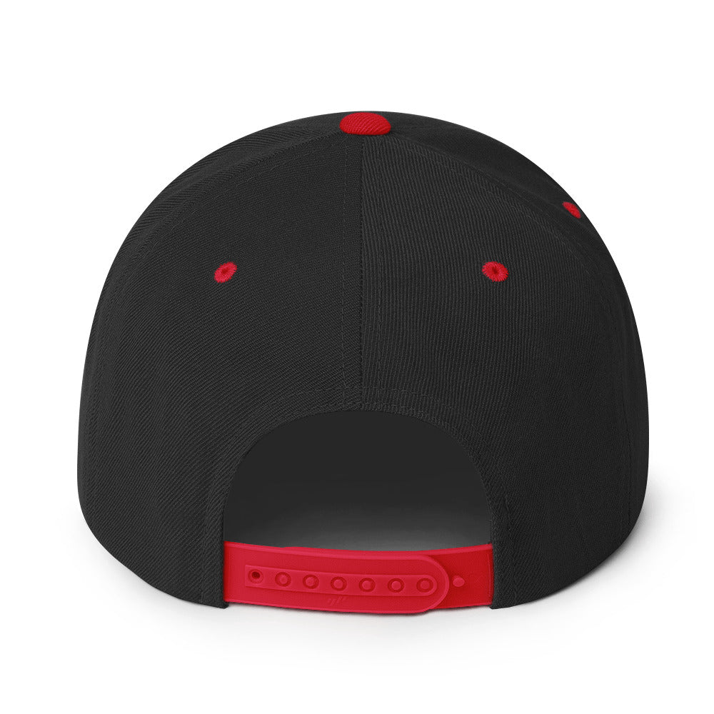 Dominion - Snapback Hat